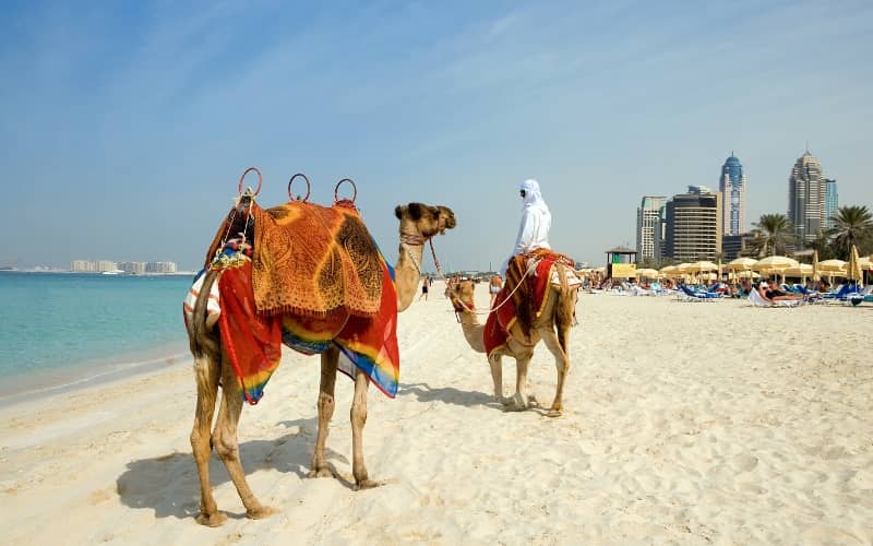 Du Lịch Dubai – Abu Dhabi